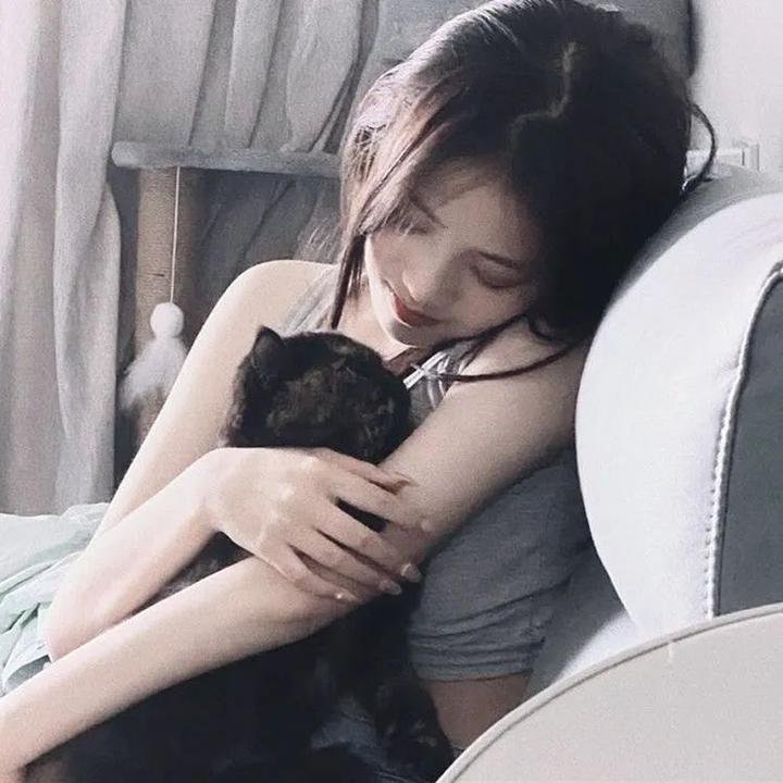 彩虹庇护所